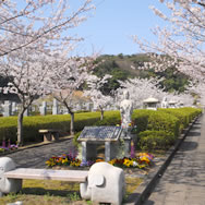 桜の季節