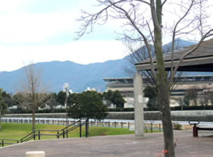 競馬場が右手に見える風景