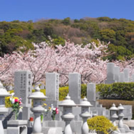霊園の風景