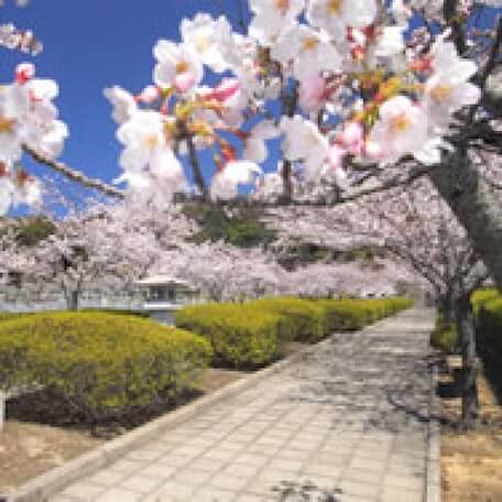 霊園の風景