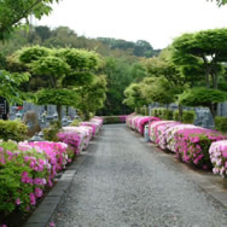 霊園の風景