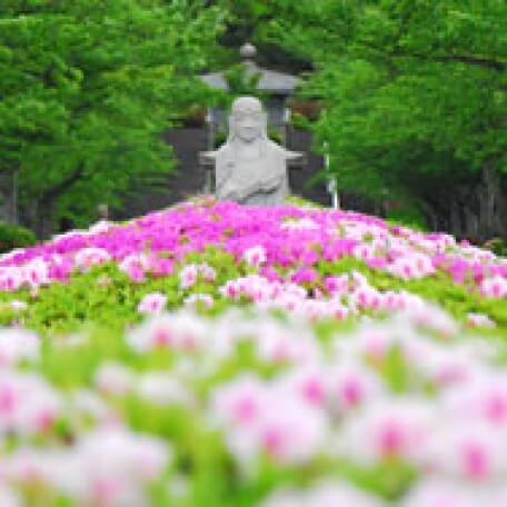 霊園の風景