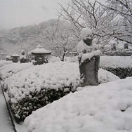 霊園の風景