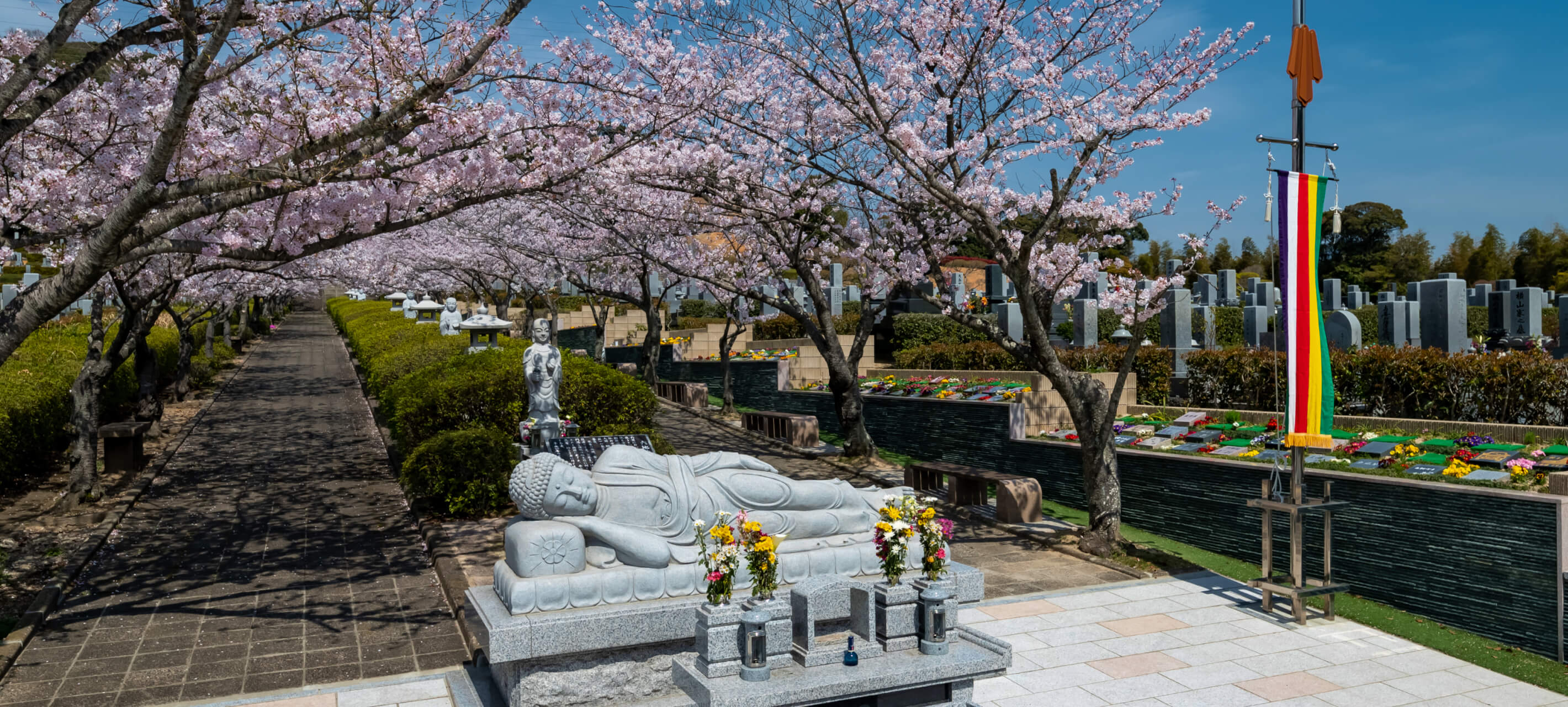 小倉霊園内の桜並木