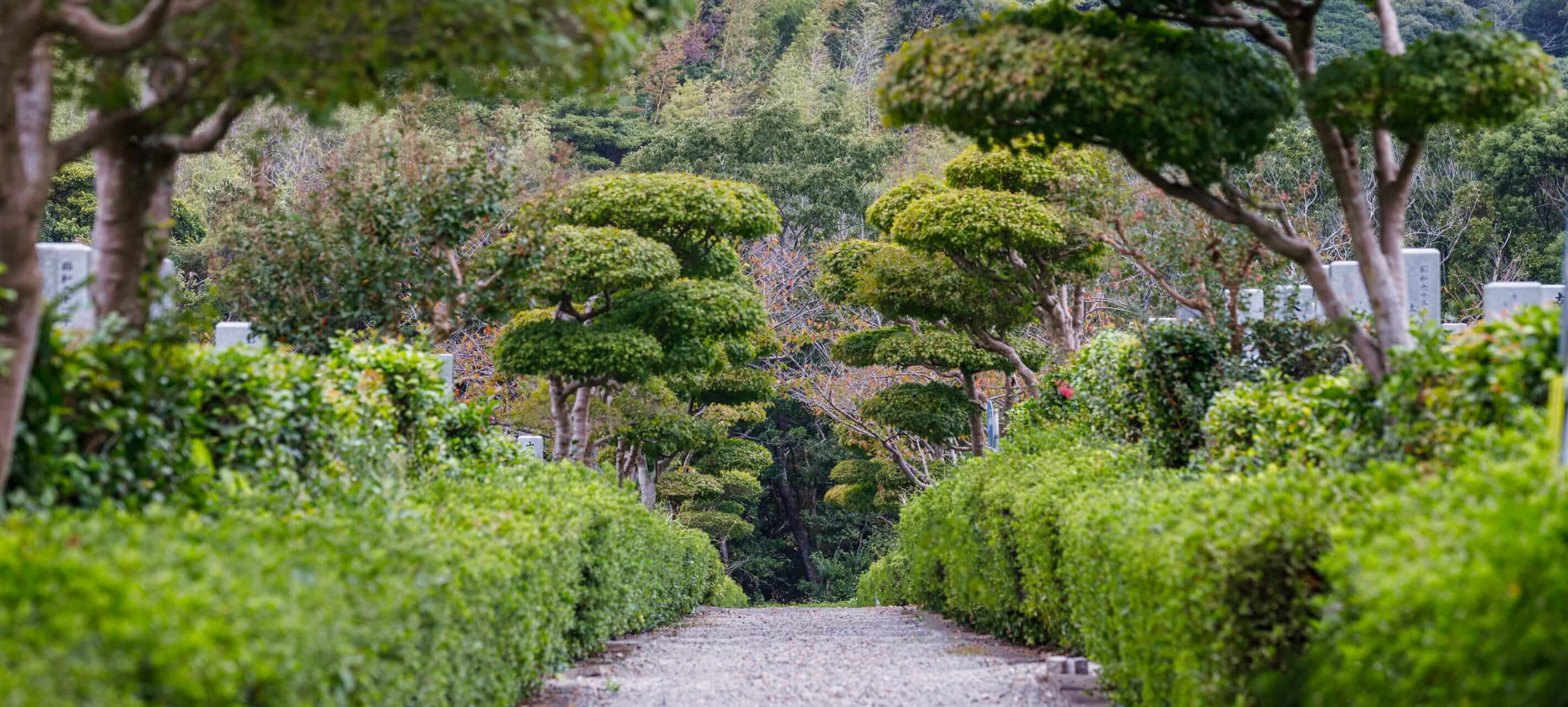 小倉霊園内の緑道